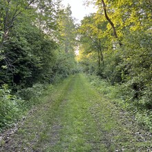 Mike Hutchings - Wabash Cannonball Trail (OH)