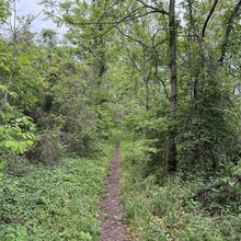 Gabe Holder - Arlington Boundary