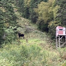 Gabriel Gariépy - Eastern Boundary 3000 Footers (QC, Canada)