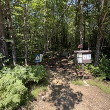 Matthew Leone - Tumbledown Mountain Trail (ME)