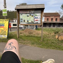 Bram Cecat - Trails Godinne Blue trail (Belgium)