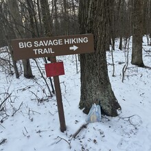 Donnie Orr - Big Savage Mountain Trail (MD)