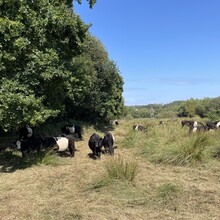 Carina Mackinger, Christoph Mackinger - Nunwell Trail (United Kingdom)