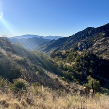 Brandon Latimer - Arizona Trail Santa Catalina Loop