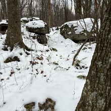 Donnie Orr - Big Savage Mountain Trail (MD)