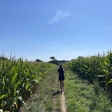 Carina Mackinger, Christoph Mackinger - Stenbury Trail (United Kingdom)