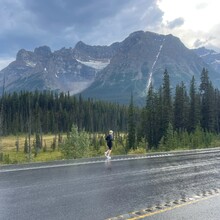 Harry Marshall - Icefields Parkway: Banff - Jasper (AB, Canada)