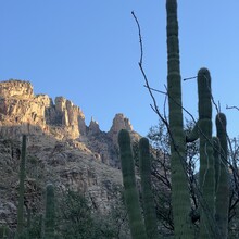 Barbara Radford - Mount Kimball (AZ)