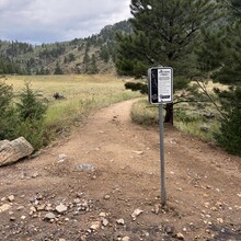 Harlan Grossman - Emerald Mountain (CO)