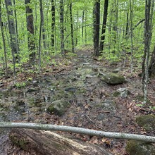 Alexandria Leveille - Sunapee Figure-8 (NH)