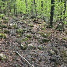 Alexandria Leveille - Sunapee Figure-8 (NH)