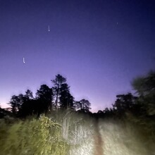 Alli Brunner - Albany Pine Bush Circuit (NY)