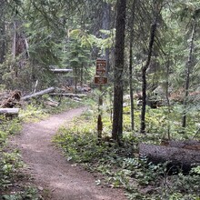 Kirby Garlitz - Brown Mountain Loop (OR)