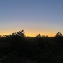 Alli Brunner - Albany Pine Bush Circuit (NY)