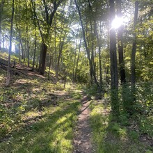 Alli Brunner - Albany Pine Bush Circuit (NY)