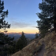 Ana Wilson - Flagstaff Fearsome Four (AZ)