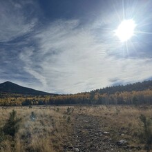 Ana Wilson - Flagstaff Fearsome Four (AZ)