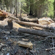 Wyatt Barrett - Yosemite Rim Linkup