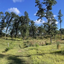 Alli Brunner - Albany Pine Bush Circuit (NY)