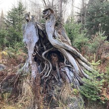 Gabriel Gariépy - Eastern Boundary 3000 Footers (QC, Canada)