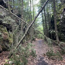 Alexandria Leveille - Sunapee Figure-8 (NH)