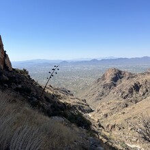 Barbara Radford - Mount Kimball (AZ)