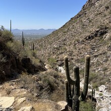Barbara Radford - Mount Kimball (AZ)