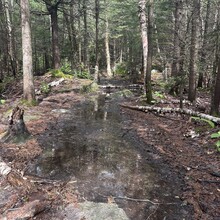 Alexandria Leveille - Sunapee Figure-8 (NH)