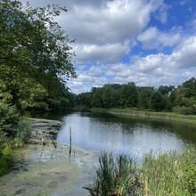 Alli Brunner - Albany Pine Bush Circuit (NY)