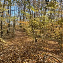 Benjamin Taylor - Knobstone Hiking Trail (IN)