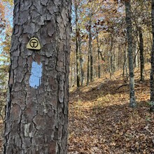 Katie Gunvalson - Ouachita Trail (OK, AR)