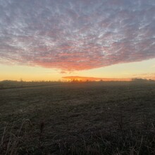 Benjamin Taylor - Knobstone Hiking Trail (IN)