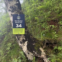 Brandon McCluskey, Nicole Leger - Fundy Footpath - 2021 Updated Official Route (NB, Canada)
