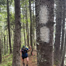 Brandon McCluskey, Nicole Leger - Fundy Footpath - 2021 Updated Official Route (NB, Canada)