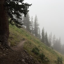 Harlan Grossman - Bear Lake to Grand Lake, RMNP (CO)