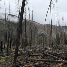 Harlan Grossman - Bear Lake to Grand Lake, RMNP (CO)
