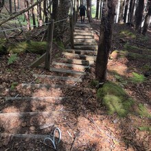 Brandon McCluskey, Nicole Leger - Fundy Footpath - 2021 Updated Official Route (NB, Canada)