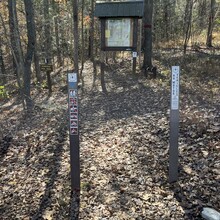 Jeff Vaughan - Birkhead Mountain Trail