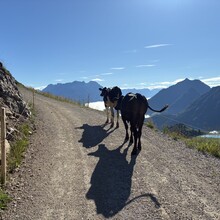 Volker Buschka - Fieberbrunner Höhenweg (Kitzbüheler Alpen)