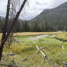 Harlan Grossman - Bear Lake to Grand Lake, RMNP (CO)
