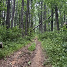 Ryan Williams, Brian Quillin - Duckett Reservoir Loop (MD)