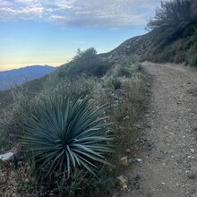 Francisco Garcia, Claude Dardant - San Dimas to Glendora Ridge Road (CA)