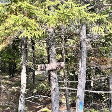 Robert Lamberson III - Donnell Range (ME)