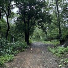 Roshan Surve, Lipi Kalita - The Roundtrip across Tungareshwar