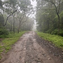 Roshan Surve, Lipi Kalita - The Roundtrip across Tungareshwar