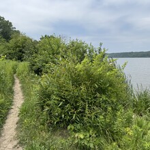 Tim Yuska - Palos Trail System (IL)