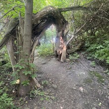 Tim Yuska - Palos Trail System (IL)