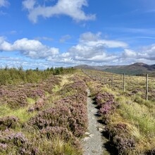 Nancy Connolly - South Loch Ness Trail