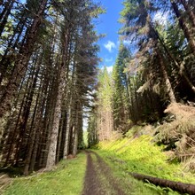 Nancy Connolly - South Loch Ness Trail