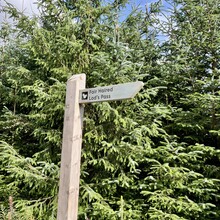 Nancy Connolly - South Loch Ness Trail